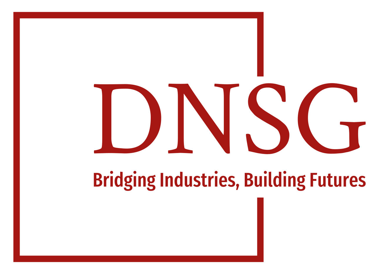 DNSG Ventures